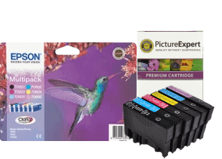 Epson T0807 Ink Cartridges